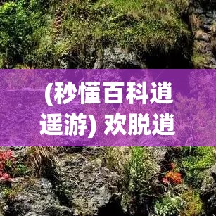 (秒懂百科逍遥游) 欢脱逍遥游：修仙古人怎样嬉戏人间，带你领略不一样的风景